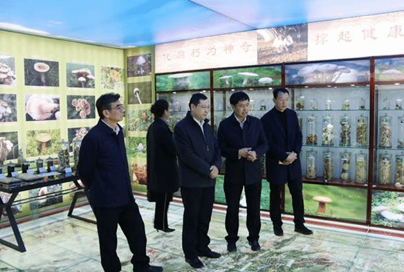 https://202.201.106.11:8080/__local/D/72/3C/A3638FD1FD228EBF513DBCBFF12_AD3F0F08_21526.jpg?e=.jpg